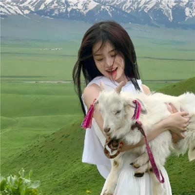 手持绣春刀，请奸佞赴死