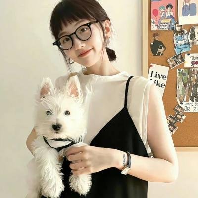 夏日假期玫瑰花